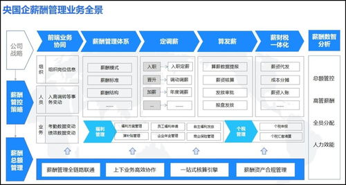 奋战930 中央企业冲刺薪酬管理系统建设，以“三全”目标引领市场新篇章